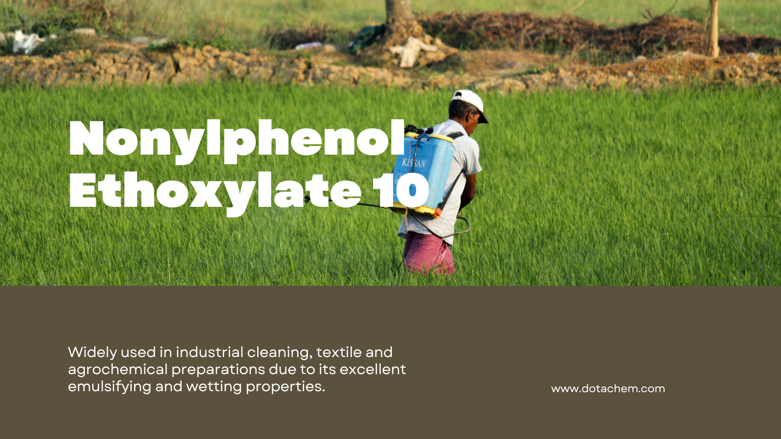 Dotachem International Supply | Профессиональное руководство NPE10: функции, приложения и глобальные решения